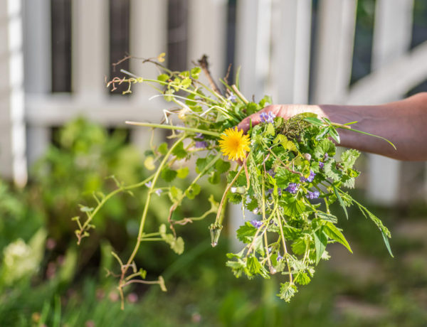 Woman holding a fist full of weeds